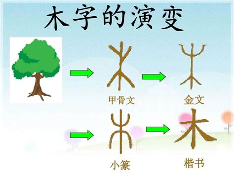 木字部首繁體字|國家教育研究院